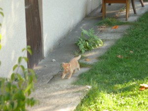 P1050848