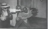 piwko 10